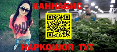 трава Гатчина