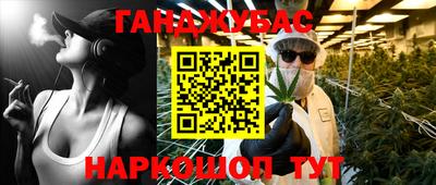 трава Гатчина