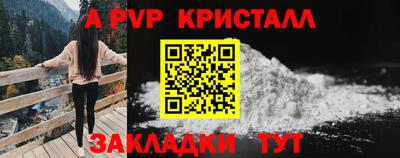 трава Гатчина