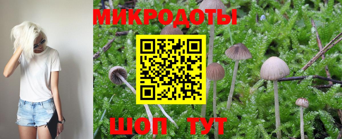 Галлюциногенные грибы мухоморы Малоярославец