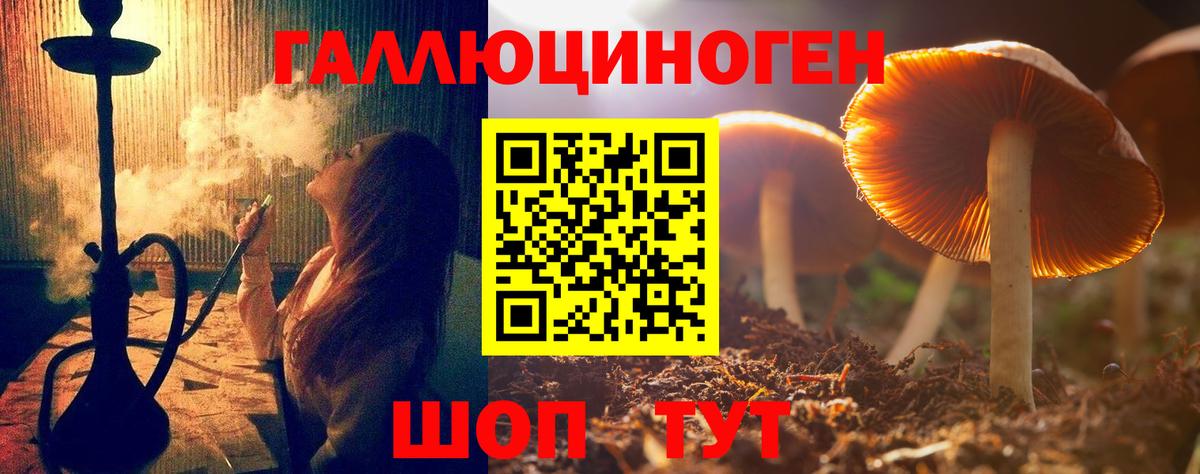 Псилоцибиновые грибы Psilocybine cubensis  Вход с VPN  Малоярославец 